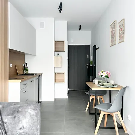 Appartement Wolczanska Prywatny Parking W Cenie Łódź