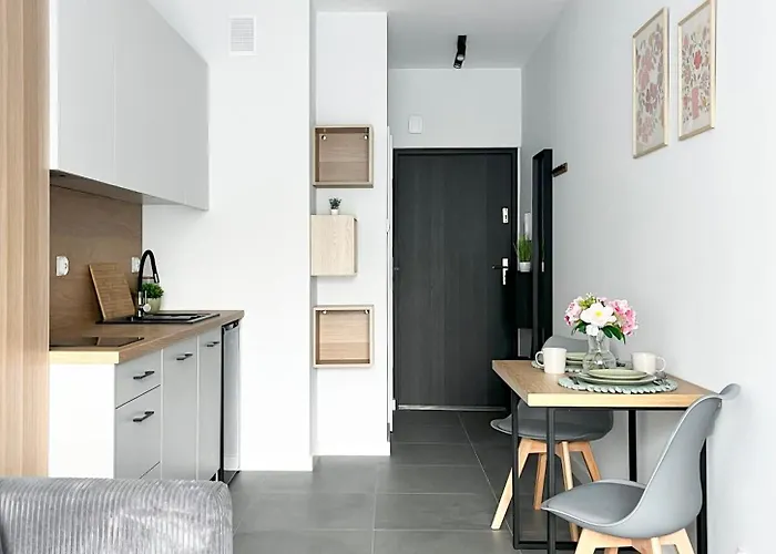 Apartment Wolczanska Prywatny Parking W Cenie Lodz